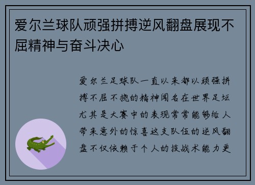 爱尔兰球队顽强拼搏逆风翻盘展现不屈精神与奋斗决心